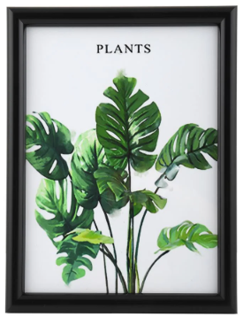 กรอบรูป PTS PLANTS 6x8 นิ้ว สีดำ