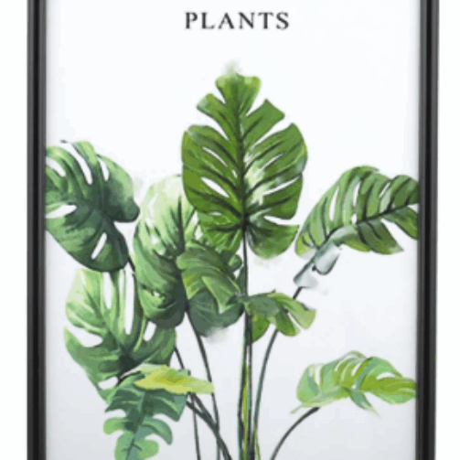 Screenshot 2025-07-17 211216